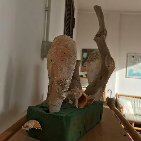Pignatari 100 Mt Dal Mare * Anzio